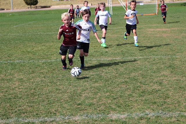 以及防守轮 以及防守轮