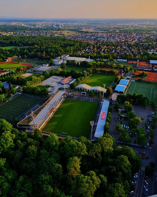 堅守陣地的 堅守陣地的