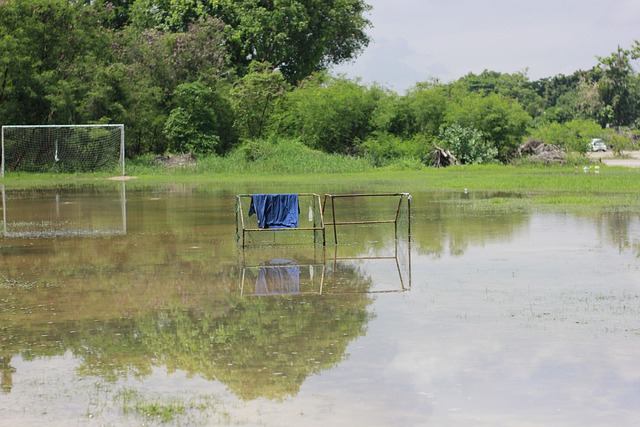 多次机会 多次机会