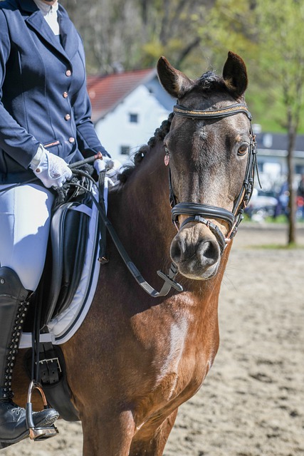 戰術和心理 戰術和心理