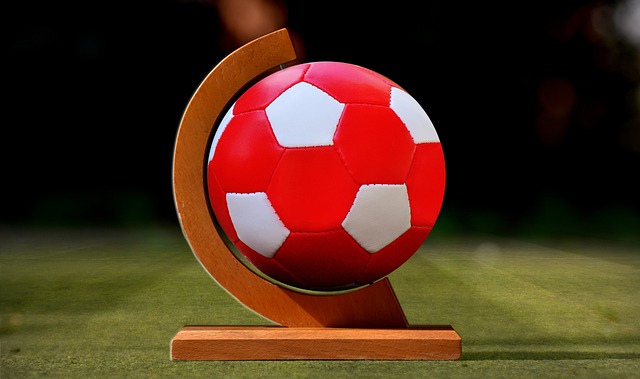 是否能复制 是否能复制