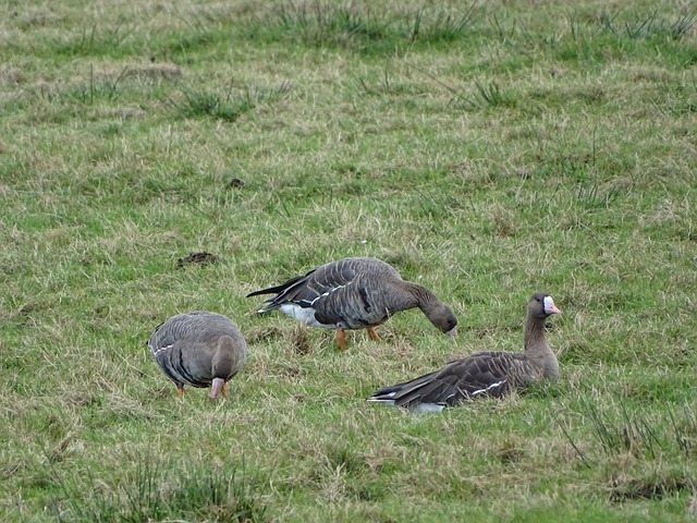 赛中也展现 赛中也展现