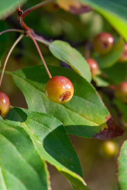 对方防线 对方防线