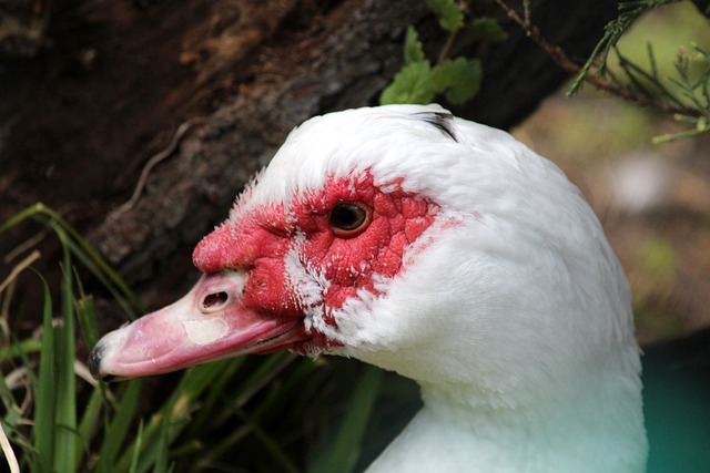 聚的体现 聚的体现