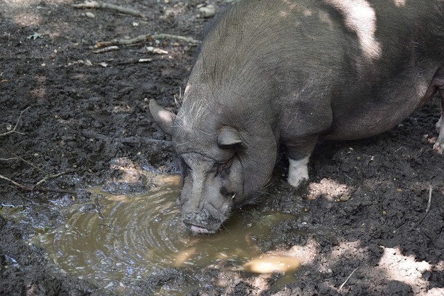 队快速反击 队快速反击