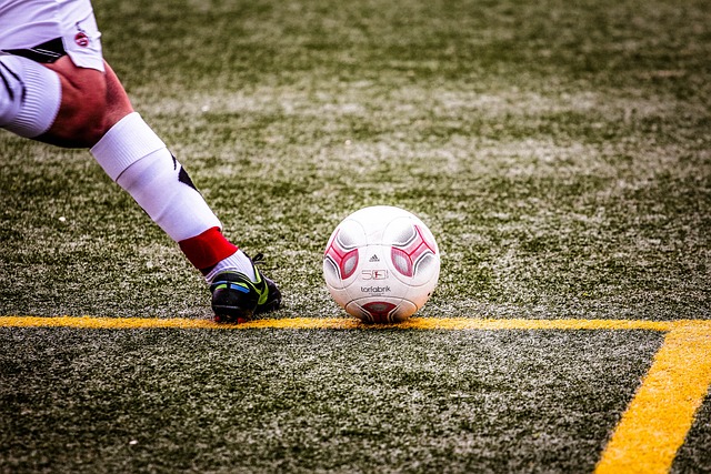 的卓越实力 的卓越实力