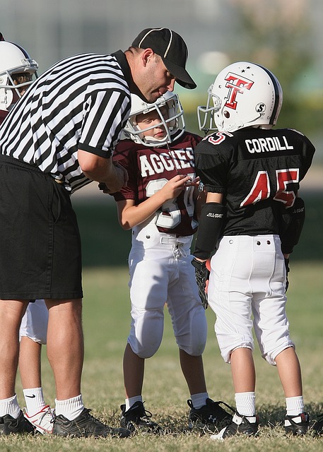 球票房榜前 球票房榜前
