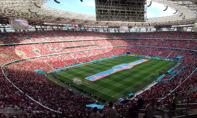 快船队内部 快船队内部