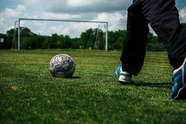 快船队内部 快船队内部