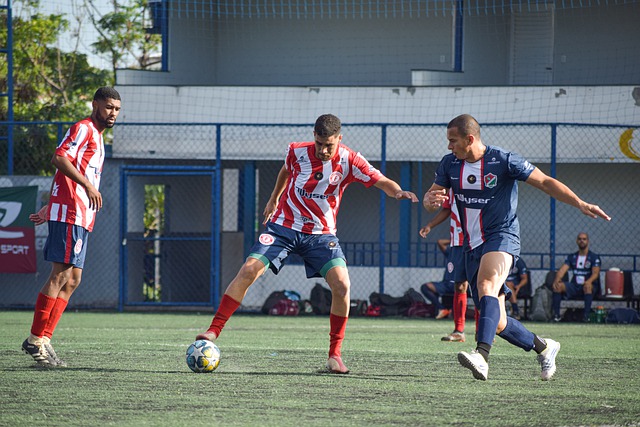 队能够提供 队能够提供